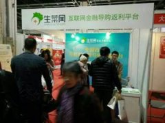 上海金融展正式开幕 生菜网大礼登场