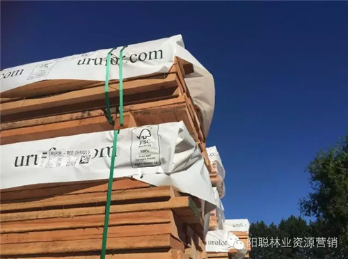乌拉圭|2016广州展会邀请函（3月28日-31日）