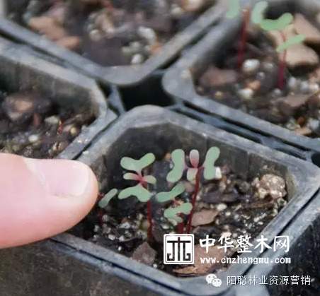 乌拉圭|2016广州展会邀请函（3月28日-31日）