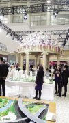 天津2016春季房交会:寄予厚望现场精彩纷呈