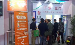 2016中国电商博览会,江门盈信创展电商获赞