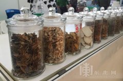 牛吃了产奶更健康 奶业展览会中草药饲料亮眼