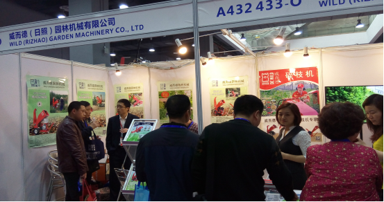 图片12