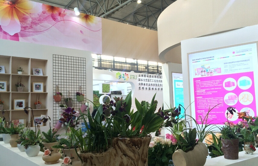 第十七届中国昆明国际花卉展隆重开幕(图1)
