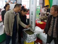 六安城投集团组团参观市第一届工业品展览会