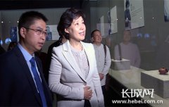 田向利在河北博物院参观宜兴紫砂艺术展