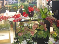 展会上如何与老外交流-国际花卉展