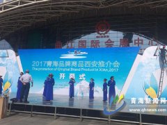 展厅布置紧锣密鼓 青海企业蓄势待发