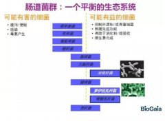 瑞典拜奥益生菌 第17届CBME中国孕婴童展、童装展